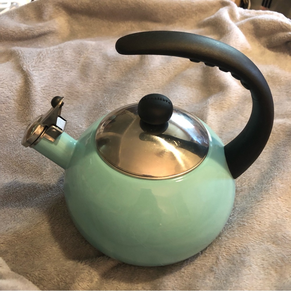 Stainless Steel /Teal Teakettle